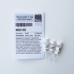 New England Biolabs, Inc.&nbsp;Thermostable 5' App DNA/RNA Ligase – 10 reactions