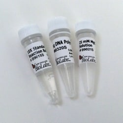 New England Biolabs, Inc.&nbsp;Taq DNA Polymerase with Standard Taq (Mg-free) Buffer – 400 units