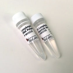 New England Biolabs, Inc. LongAmp Taq DNA Polymerase – 2500 units, Quantity: