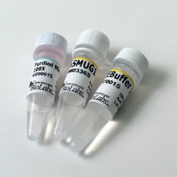 New England Biolabs, Inc.&nbsp;hSMUG1 – 500 units