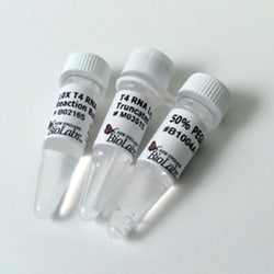 New England Biolabs, Inc. T4 RNA Ligase 2, truncated K227Q – 10000 units,
