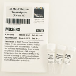 New England Biolabs, Inc. ProtoScript II Reverse Transcriptase – 4000 units,