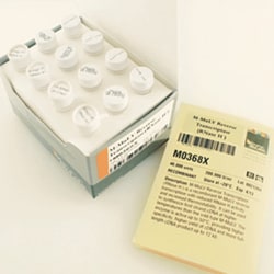 New England Biolabs, Inc. ProtoScript II Reverse Transcriptase – 40000 units