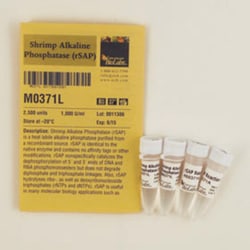 New England Biolabs, Inc. Shrimp Alkaline Phosphatase (rSAP) – 2500 units,
