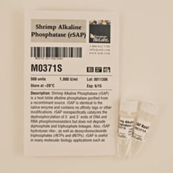 New England Biolabs, Inc. Shrimp Alkaline Phosphatase (rSAP) – 500 units,