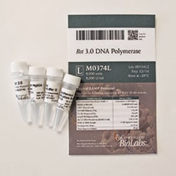 New England Biolabs, Inc. Bst 3.0 DNA Polymerase – 8000 units, Quantity: