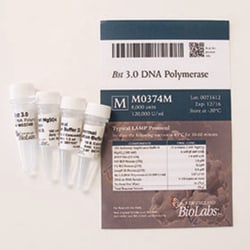 New England Biolabs, Inc. Bst 3.0 DNA Polymerase – 8000 units, Quantity: