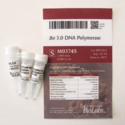 New England Biolabs, Inc. Bst 3.0 DNA Polymerase – 1600 units, Quantity: