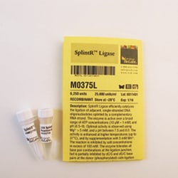 New England Biolabs, Inc. SplintR Ligase – 6250 units, Quantity: Each of