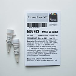 New England Biolabs, Inc. Exonuclease VII – 200 units, Quantity: Each of