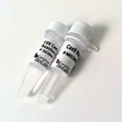 New England Biolabs, Inc. Cas9 Nuclease, S. pyogenes – 70 pmol
