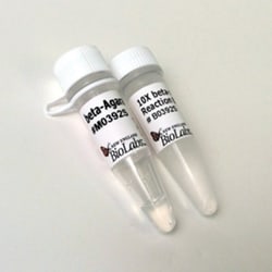 New England Biolabs, Inc.&nbsp;beta-Agarase I – 100 units