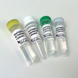 New England Biolabs, Inc. OneTaq DNA Polymerase – 5000 units, Quantity: