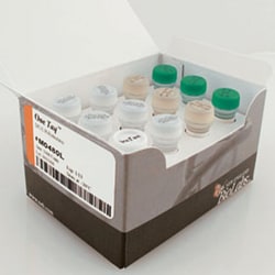 New England Biolabs, Inc. OneTaq DNA Polymerase – 1000 units, Quantity: