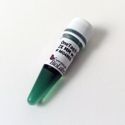 New England Biolabs, Inc. OneTaq Quick-Load 2X Master Mix with Standard
