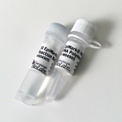 New England Biolabs, Inc. EpiMark Hot Start Taq DNA Polymerase – 100 reactions,