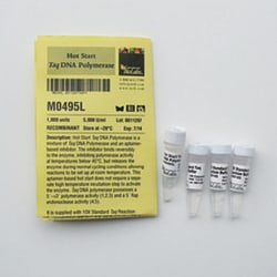 New England Biolabs, Inc. Hot Start Taq DNA Polymerase – 1000 units, Quantity: