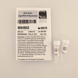 New England Biolabs, Inc. Hot Start Taq DNA Polymerase – 200 units, Quantity:
