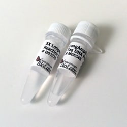 New England Biolabs, Inc. LongAmp Hot Start Taq DNA Polymerase – 500 units,
