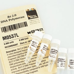 New England Biolabs, Inc. Bst 2.0 DNA Polymerase – 8000 units, Quantity: