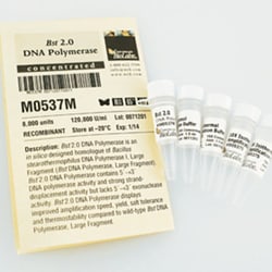 New England Biolabs, Inc.&nbsp;Bst 2.0 DNA Polymerase – 8000 units