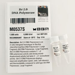 New England Biolabs, Inc. Bst 2.0 DNA Polymerase – 1600 units, Quantity: