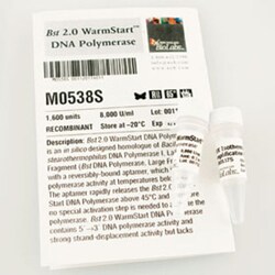 New England Biolabs, Inc. Bst 2.0 WarmStart DNA Polymerase – 1600 units,