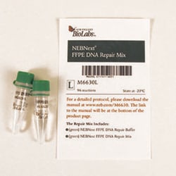 New England Biolabs, Inc. NEBNext FFPE DNA Repair Mix – 96 reactions, Quantity: