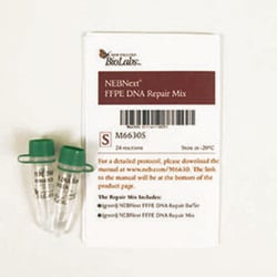 New England Biolabs, Inc. NEBNext FFPE DNA Repair Mix – 24 reactions, Quantity: