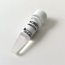 New England Biolabs, Inc. M13K07 Helper Phage – 1.8 ml, Quantity: Each