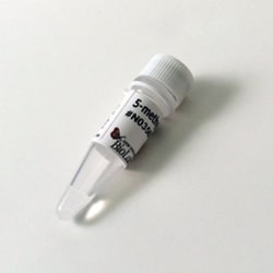 New England Biolabs, Inc.&nbsp;5-methyl-dCTP – 1 µmol