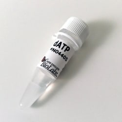 New England Biolabs, Inc. dATP Solution – 25 µmol, Quantity: Each of 1