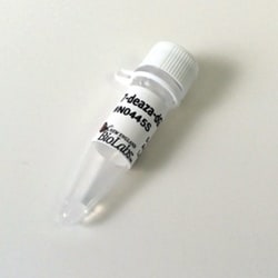 New England Biolabs, Inc.&nbsp;7-deaza-dGTP – 0.3 µmol