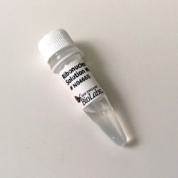 New England Biolabs, Inc. Ribonucleotide Solution Mix – 10 µmol of each,