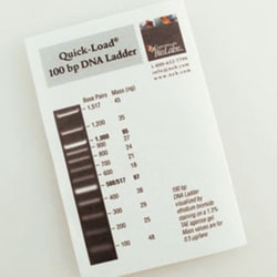 New England Biolabs, Inc. Quick-Load 100 bp DNA Ladder – 1.25 ml, Quantity: