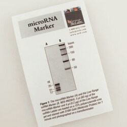 New England Biolabs, Inc. microRNA Marker – 0 (4 x 1.0ml), Quantity: Each