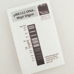 New England Biolabs, Inc.&nbsp;pBR322 DNA-MspI Digest – 0.05 ml