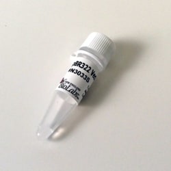 New England Biolabs, Inc. pBR322 Vector – 50 µg, Quantity: Each of 1