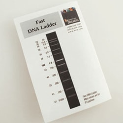 New England Biolabs, Inc. Fast DNA Ladder – 1 ml, Quantity: Each of 1