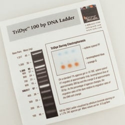 New England Biolabs, Inc. TriDye™ 100 bp DNA Ladder – 1.25 ml