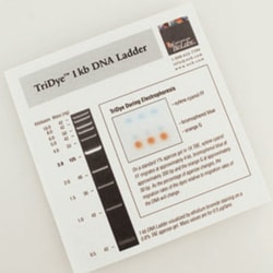 New England Biolabs, Inc. TriDye 1 kb DNA Ladder – 1.25 ml, Quantity: Each