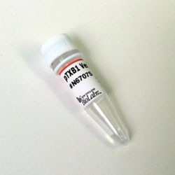 New England Biolabs, Inc. pTXB1 Vector – 10 µg