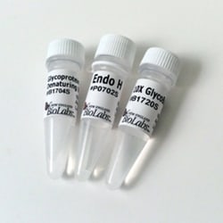 New England Biolabs, Inc. Endo H – 10000 units, Quantity: Each of 1