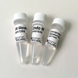 New England Biolabs, Inc.&nbsp;Endo Hf – 100000 units