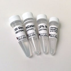 New England Biolabs, Inc. PNGase F – 75000 units, Quantity: Each of 1