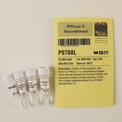 New England Biolabs, Inc.&nbsp;PNGase F, Recombinant – 75000 units