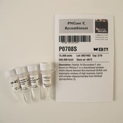 New England Biolabs, Inc. PNGase F, Recombinant – 15000 units, Quantity:
