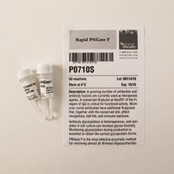 New England Biolabs, Inc. Rapid PNGase F – 50 reactions, Quantity: Each