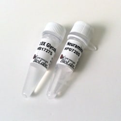 New England Biolabs, Inc.&nbsp;α2-3,6,8 Neuraminidase - 2000 units