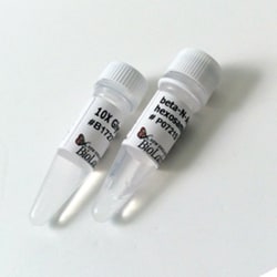 New England Biolabs, Inc. β-N-Acetylhexosaminidase f - 500 units, Quantity: